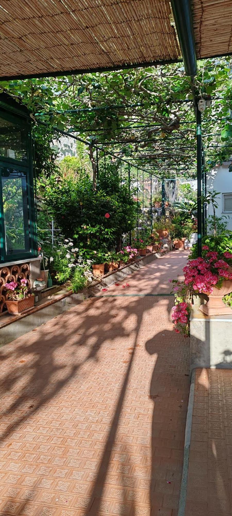 Villa Dei Fiori B&B Capri Exteriér fotografie