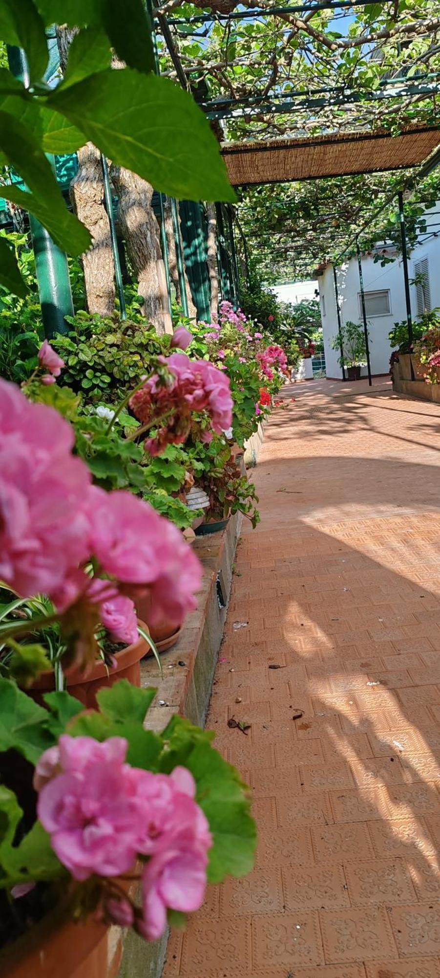 Villa Dei Fiori B&B Capri Exteriér fotografie
